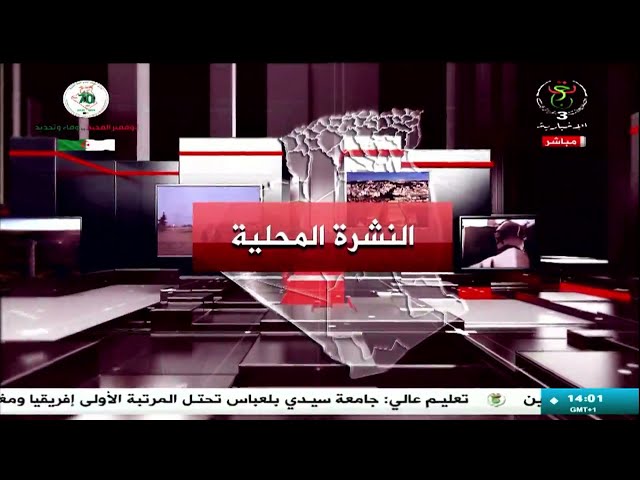 ⁣النشرة المحلية - 2024/11/12