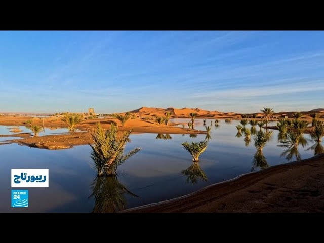 ⁣بعد أمطار استثنائية.. عودة الحياة إلى البحيرات الجافة في الصحراء المغربية • فرانس 24 / FRANCE 24