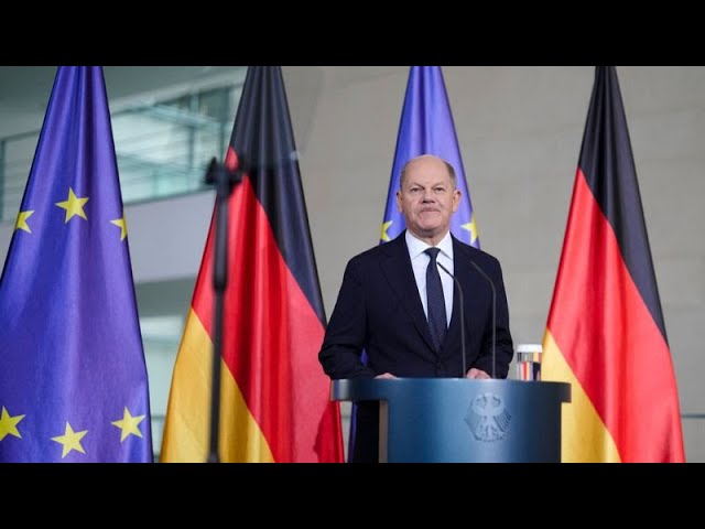 ⁣Germany set to hold snap elections on 23 February, reports claim