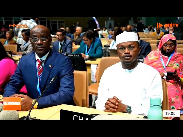 ⁣COP 29 - Ouverture officielle des travaux à Bakou