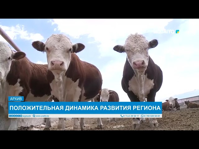 ⁣ПОЛОЖИТЕЛЬНАЯ ДИНАМИКА РАЗВИТИЯ РЕГИОНА