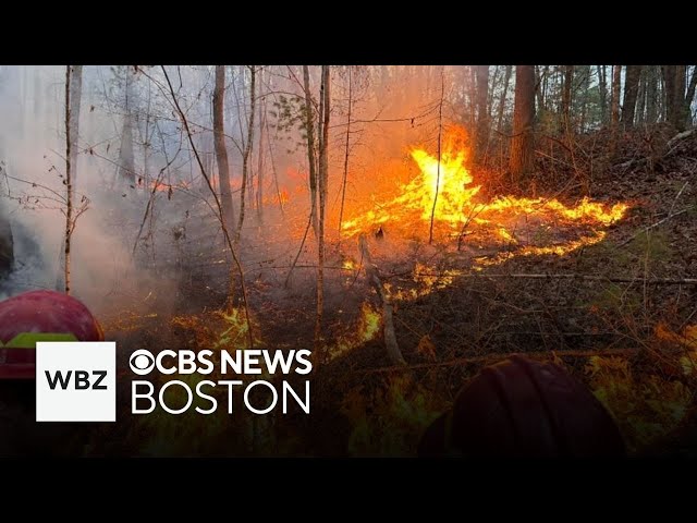 ⁣Red flag warning in Massachusetts for brush fires and more top stories