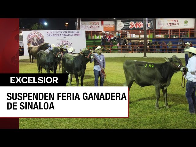 ⁣Culiacán sin Feria Ganadera y sin Palenque por violencia