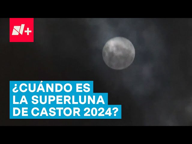 ⁣¿Cuándo es y cómo ver la superluna de castor 2024? - N+