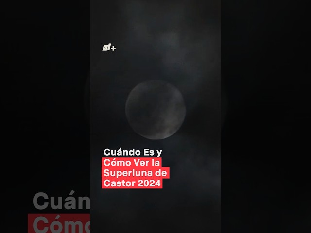 ⁣¿Cuándo es y cómo ver la superluna de castor 2024? #nmas #luna #shorts