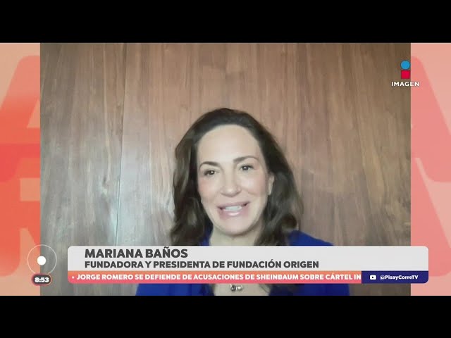 ⁣¿Cómo detectar que una mujer sufre violencia? Un experto habla del tema | DPC con Paola Rojas