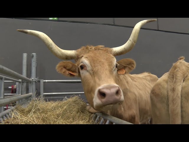 ⁣Pays basque : Lurrama, vitrine de l'agriculture paysanne et durable