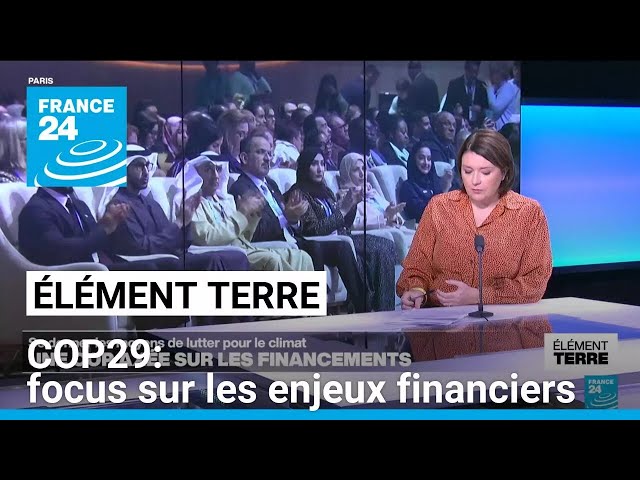 ⁣La COP29: comment financer la transition écologique? • FRANCE 24