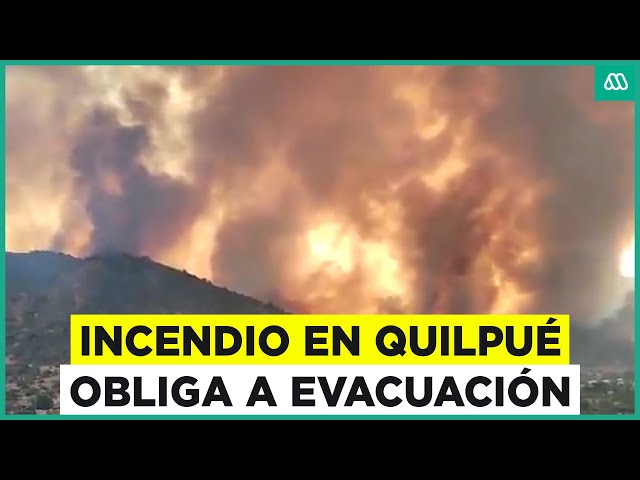 ⁣Incendio forestal afecta a Quilpué: Solicitan evacuar por avance de fuego