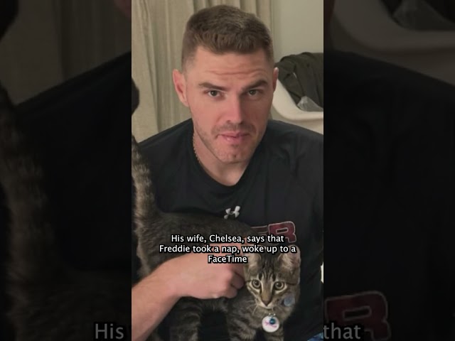 ⁣Freddie Freeman adopts a cat