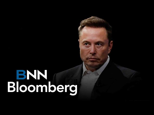 ⁣Why Tesla is the most undervalued AI play: analyst