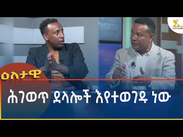 ⁣Ethiopia - Eletawi ሕገወጥ ደላሎች እየተወገዱ ነው 12 November 2024