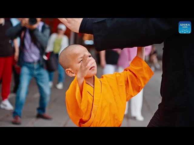 ⁣Learning Chinese Kung Fu | Wuzu Fist