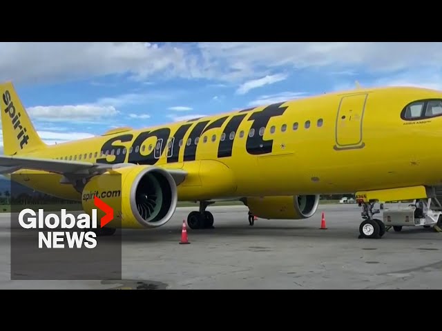 ⁣Spirit Airlines plane hit by gunfire in Haiti's capital, flight attendant struck