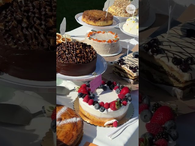 ⁣The Cake Picnic Tour brings dessert enthusiasts across the country #Shorts