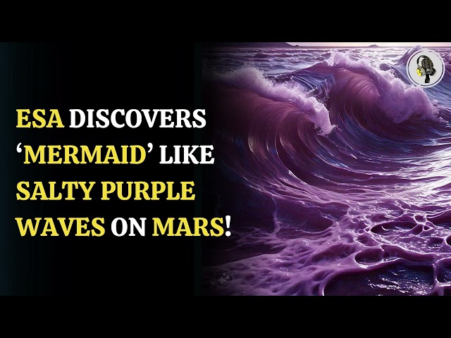 ⁣ESA Discovers 'Mermaid' Like Salty Purple Waves on Mars! | WION Podcast