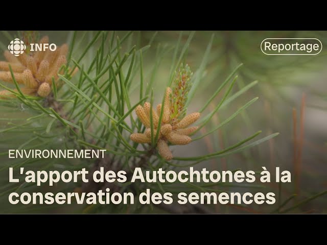 ⁣L’apport des Autochtones à la conservation des semences | La semaine verte