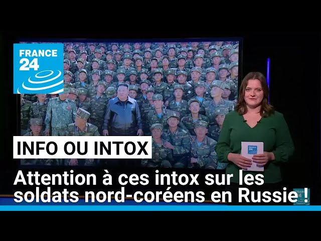 ⁣Pornographie, images de jeux vidéo : attention à ces intox sur les soldats nord-coréens en Russie !