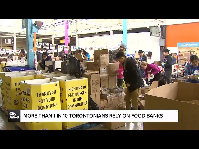 ⁣Expert Says Toronto Feeling Impact of Record Food Bank Use Across Canada