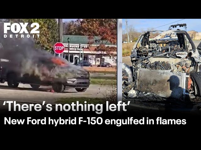 ⁣Hybrid Ford F-150 truck ignites into flames on the road