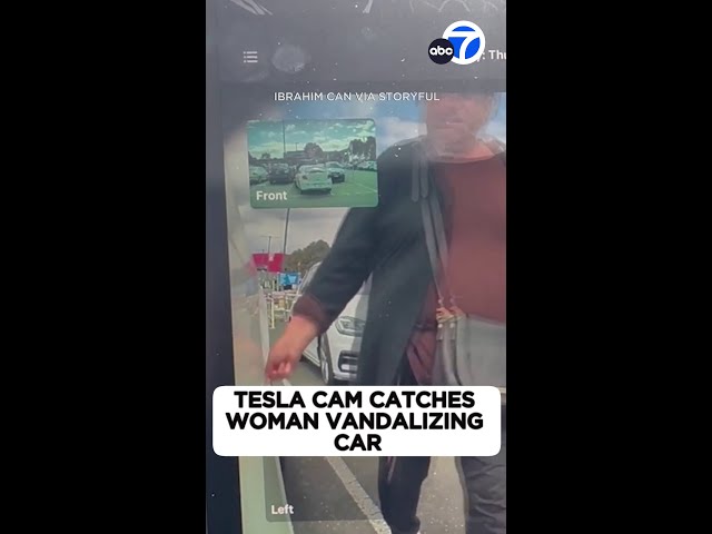 ⁣Tesla cam catches woman vandalizing car