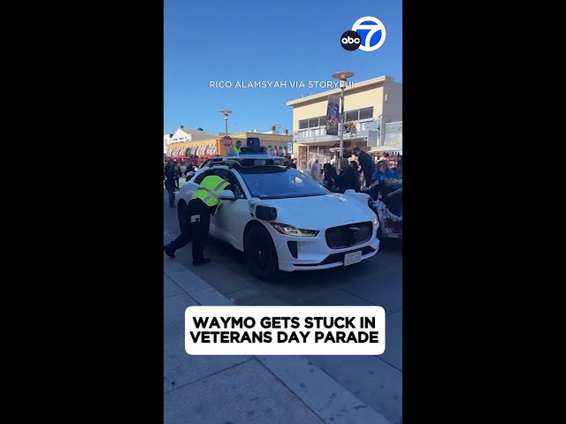 ⁣Whoops! Waymo gets stuck in Veterans Day parade