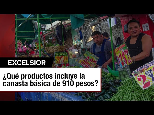 ⁣El gobierno renueva Pacic y reduce la canasta básica a 910 pesos