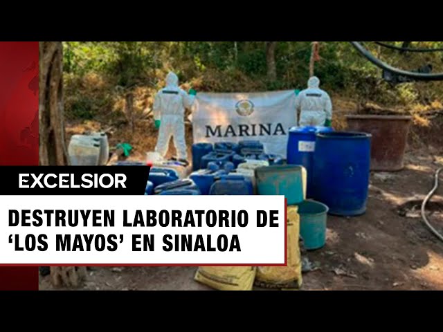 ⁣Golpe a ‘Los Mayos’ en Sinaloa, Semar destruye laboratorio