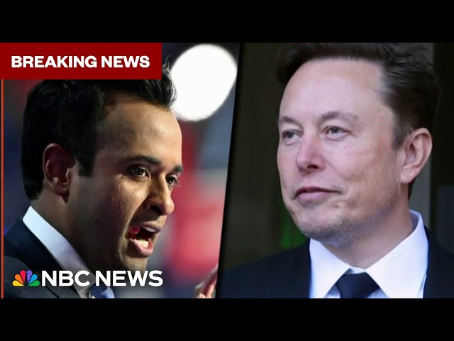 ⁣Trump taps Elon Musk, Vivek Ramaswamy to lead Department of Government Efficiency