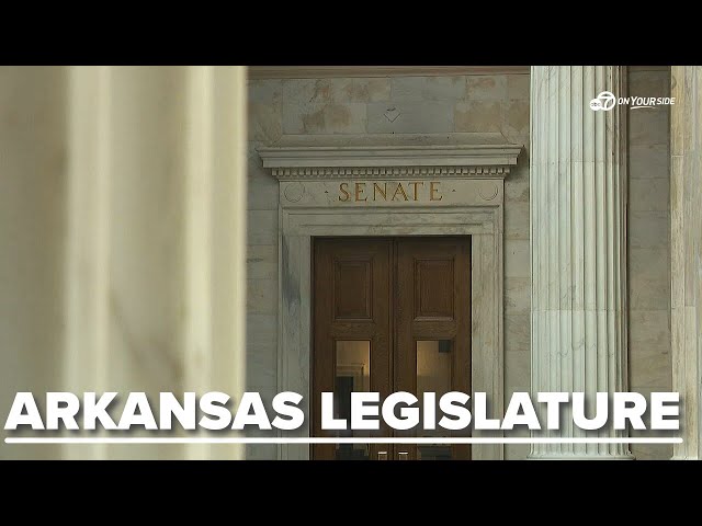 ⁣Arkansas Senate GOP majority bans Democrats from standing committee leadership positions