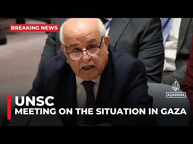 ⁣UNSC briefing on risk of famine in northern Gaza