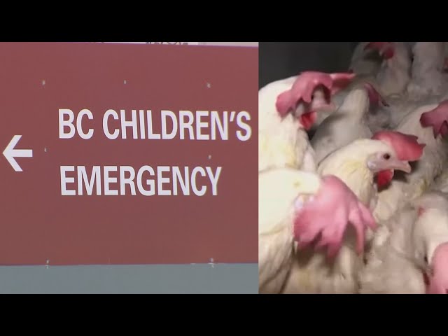 ⁣B.C. teen diagnosed with bird flu