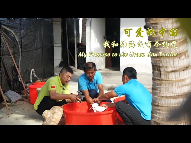 ⁣Father, son protect sea turtles in South China Sea