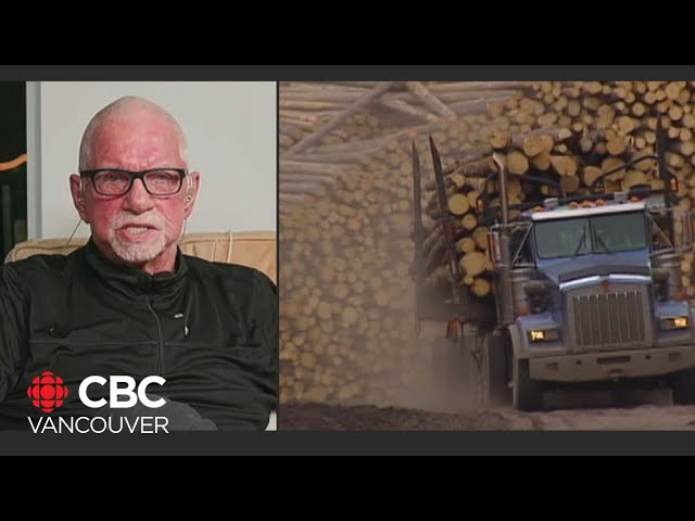 ⁣How might Trump tariffs impact B.C.'s softwood lumber industry?