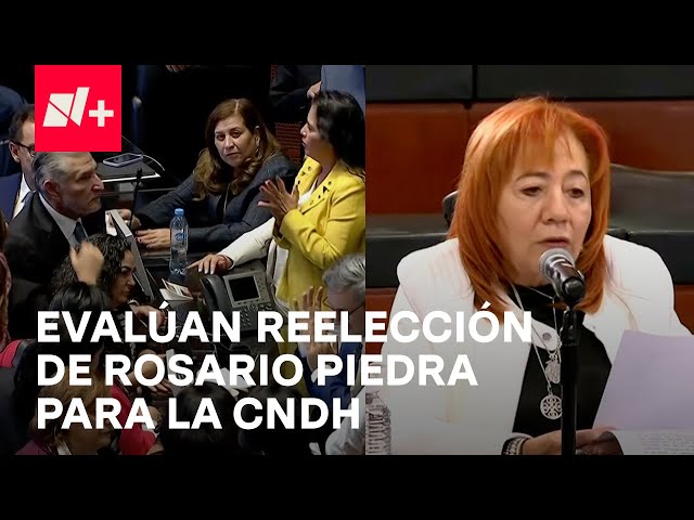 ⁣Senado discute posible reelección de Rosario Piedra Ibarra en la CNDH - En Punto