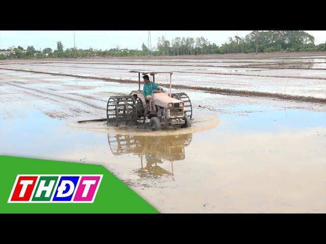 ⁣Nông dân Lấp Vò chuẩn bị xuống giống vụ lúa Đông Xuân | THDT