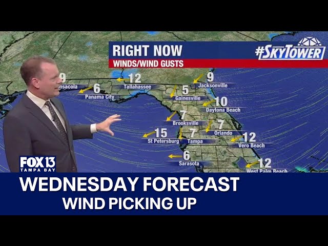 ⁣Tampa weather | Windy Wednesday