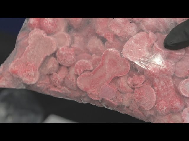 ⁣Drug bust finds fentanyl disguised as dog treats in British Columbia