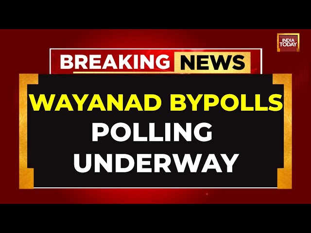 ⁣Wayanad Bypolls LIVE: Polling Underway In Wayanad As Priyanka Gandhi Seeks A Successful Poll Debut