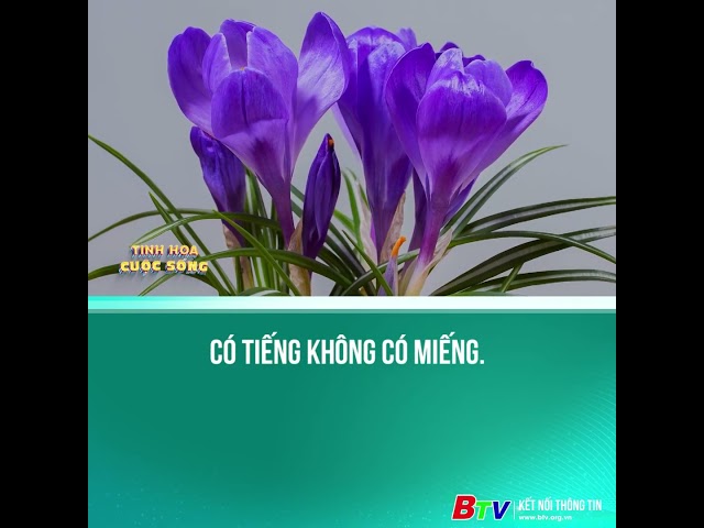 ⁣Có tiếng không có miếng