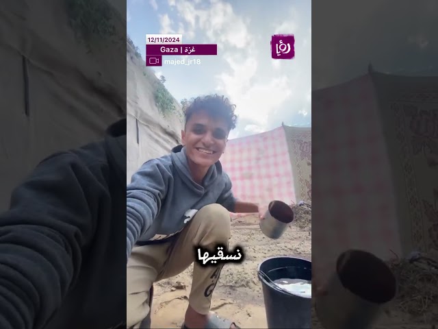 ⁣ماجد يتحدى الحرب والجوع في غزة بزراعة الأمل وحصاد الحياة