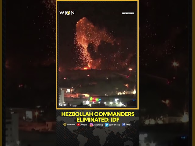 ⁣Israel-Hezbollah War: Several Hezbollah Field Commanders Killed In Recent Lebanon Airstrikes: IDF