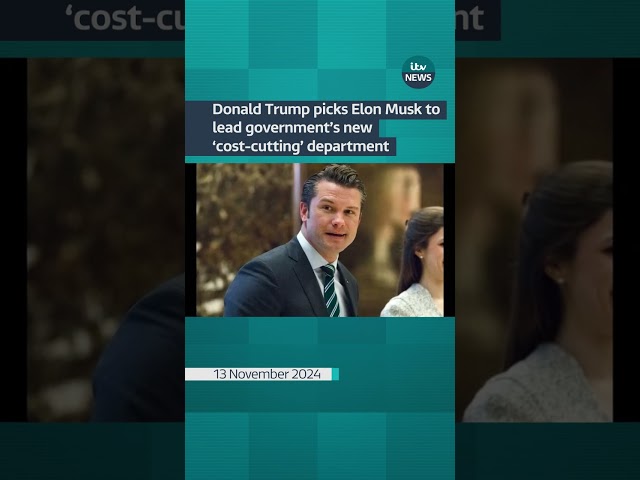 ⁣Donald Trump picks Elon Musk to lead government's new 'cost-cutting' department