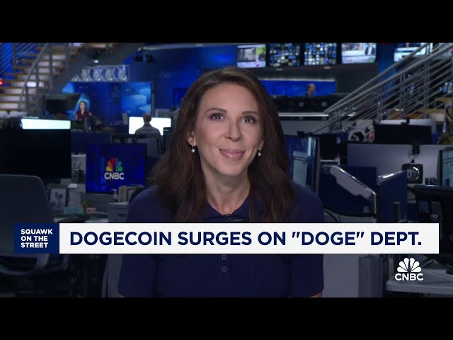 ⁣Dogecoin surges 20% after Trump announces Department of Government Efficiency