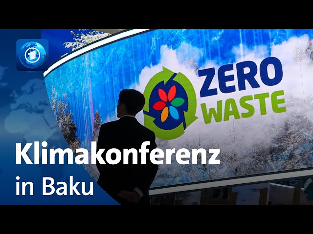 ⁣COP29 in Baku: was Wissenschaftler:innen von der Klimakonferenz erwarten