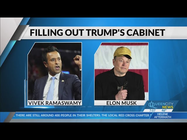 ⁣Analysis: Trump fills out cabinet positions