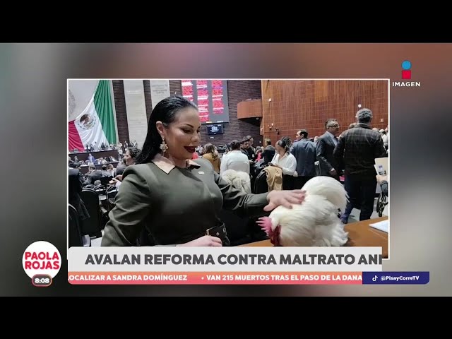 ⁣Avalan la reforma contra el maltrato animal