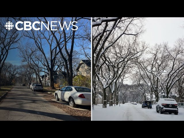 ⁣Snow in short supply in Winnipeg this mid-November