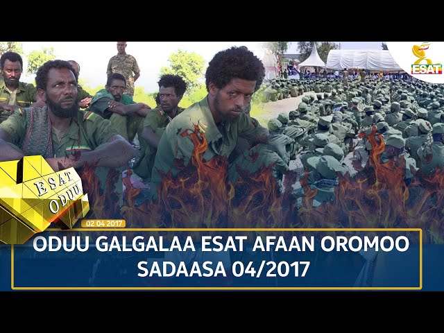 ⁣Ethiopia - ESAT ODUU 13 NOVEMBER 2024