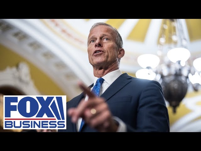 ⁣Sen. John Thune elected Senate majority leader